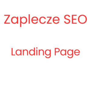 Zaplecze SEO - Landing Page
